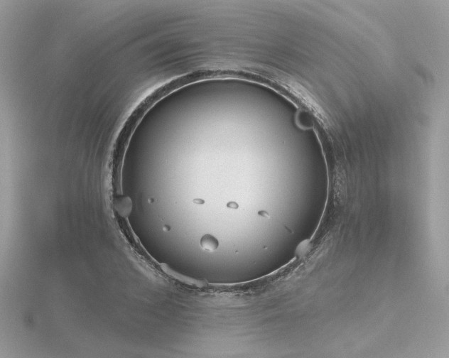 X0000116570976200912101507