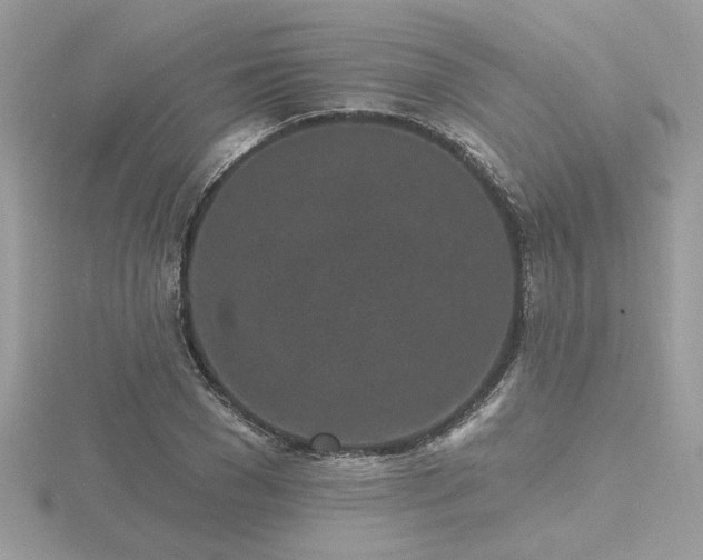 X0000116570977200912101507