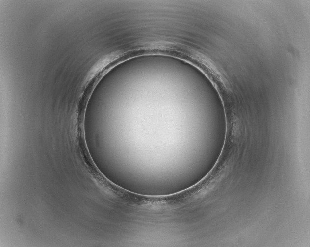 X0000116570978200912101507