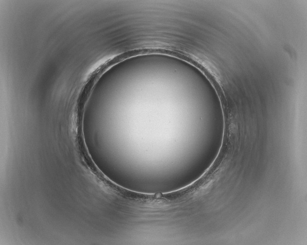 X0000116570979200912101507