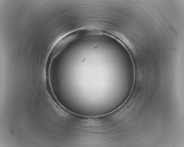 X0000116570980200912101507