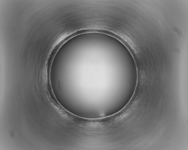 X0000116570982200912101507