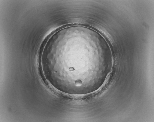 X0000116570983200912101507