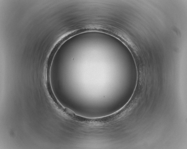 X0000116570984200912101507