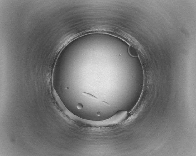 X0000116570985200912101507