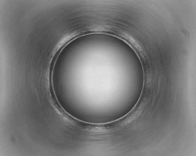 X0000116570986200912101507