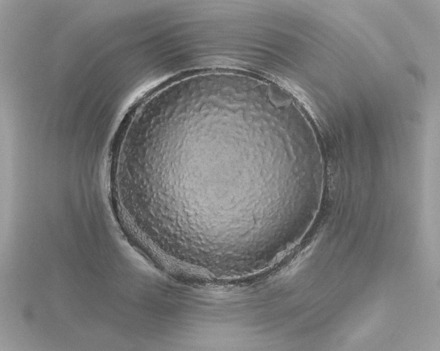 X0000116570987200912101507