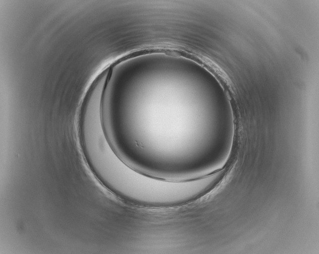 X0000116570989200912101507