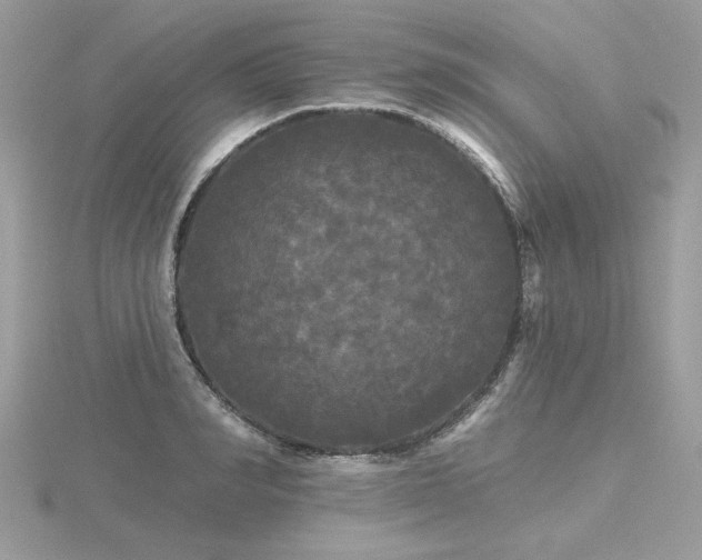 X0000116570990200912101507