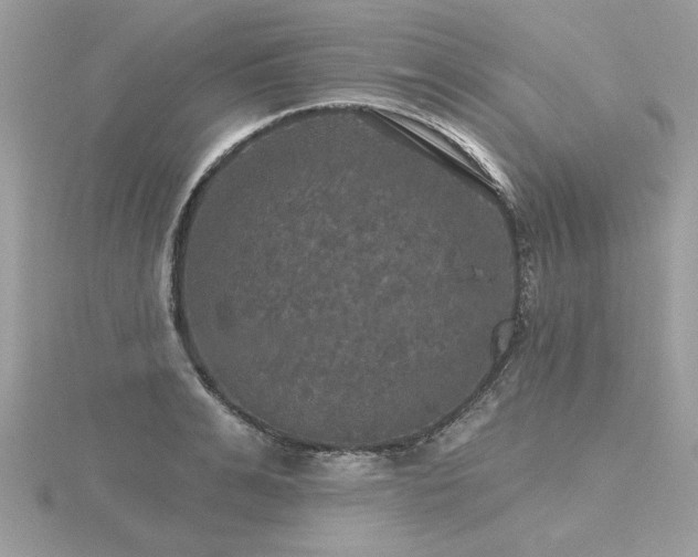 X0000116570991200912101507