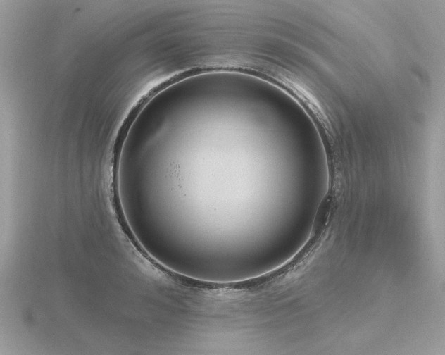 X0000116570992200912101507