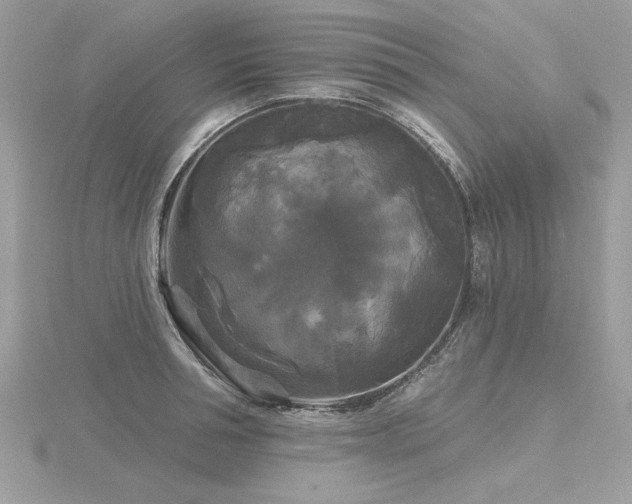 X0000116570994200912101507