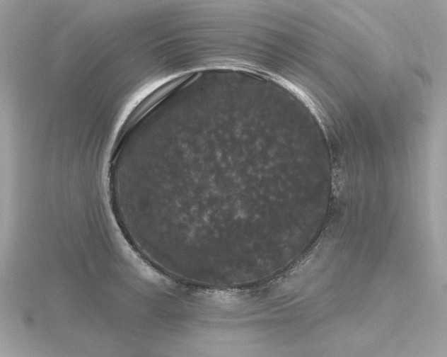 X0000116570995200912101507