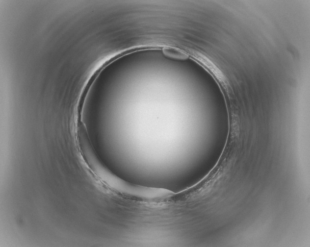 X0000116570996200912101507