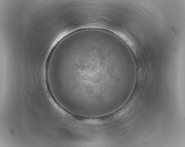 X0000116570998200912101507