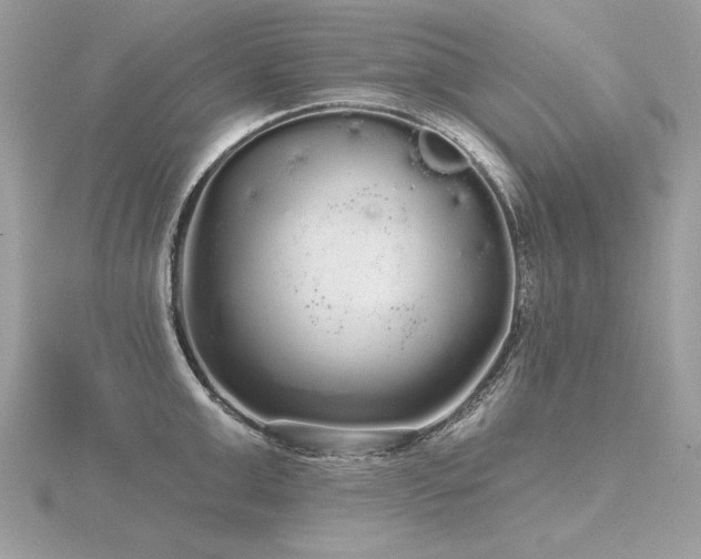 X0000116570999200912101507