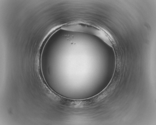 X0000116571000200912101507