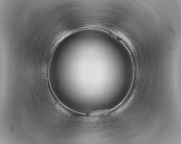 X0000116571001200912101507