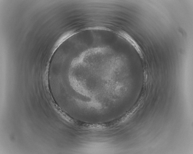 X0000116571002200912101507