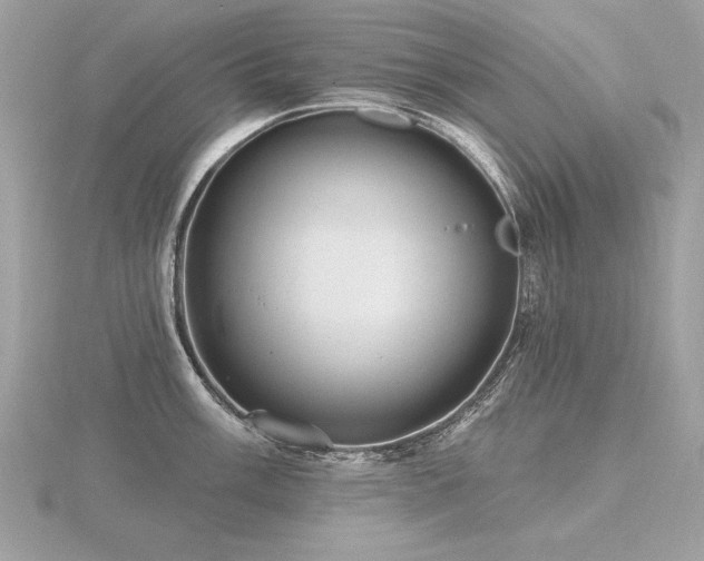 X0000116571003200912101507