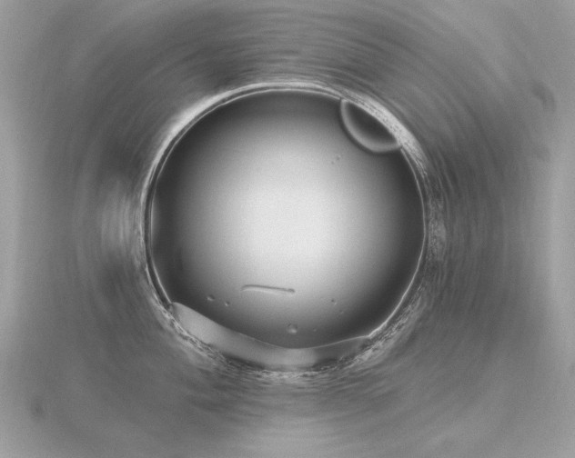 X0000116571004200912101507