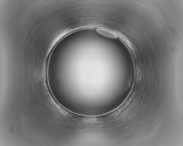 X0000116571006200912101506