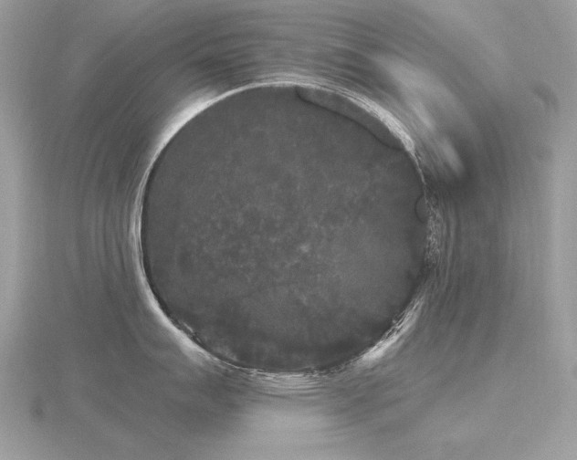 X0000116571007200912101506