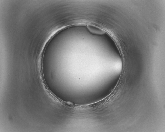 X0000116571008200912101506