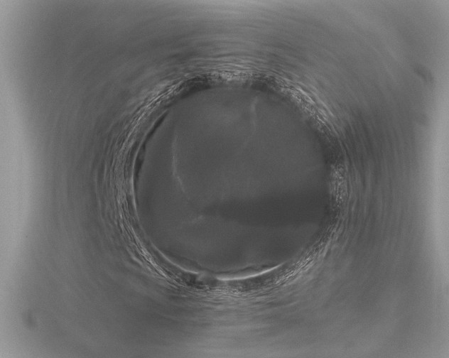 X0000116571009200912101506