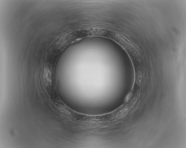 X0000116571010200912101506