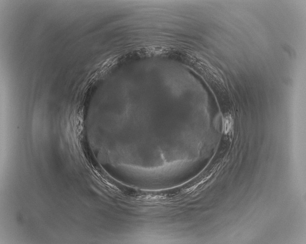 X0000116571011200912101506