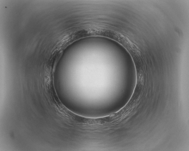 X0000116571012200912101506