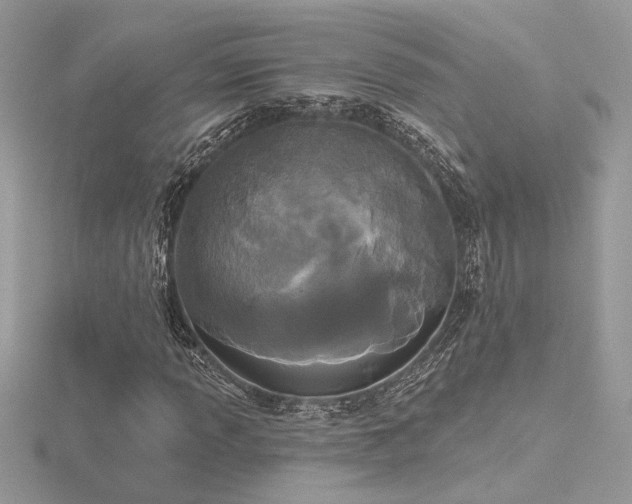 X0000116571013200912101506