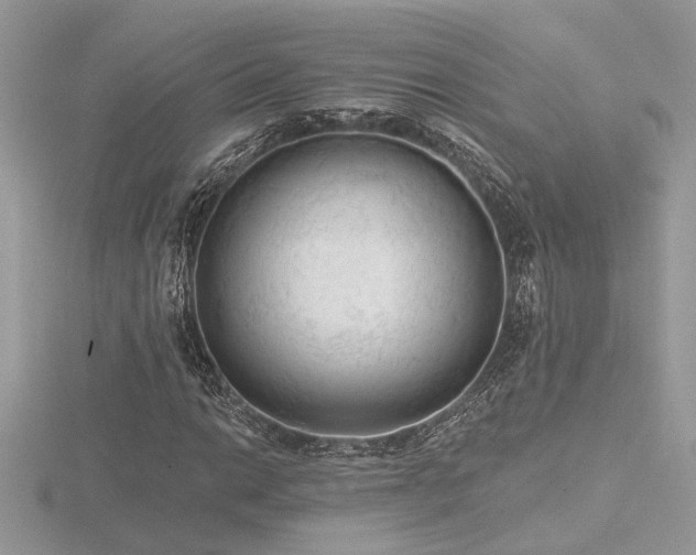 X0000116571014200912101506