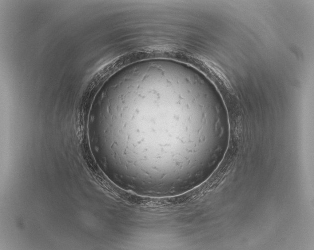 X0000116571015200912101506