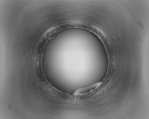 X0000116571016200912101506