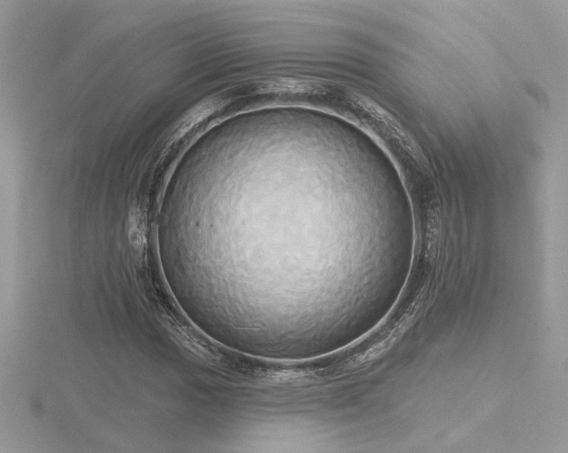 X0000116571017200912101506