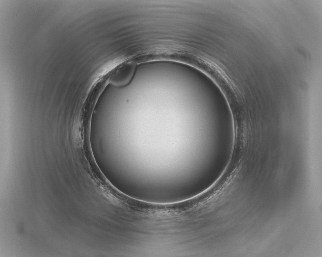 X0000116571018200912101506