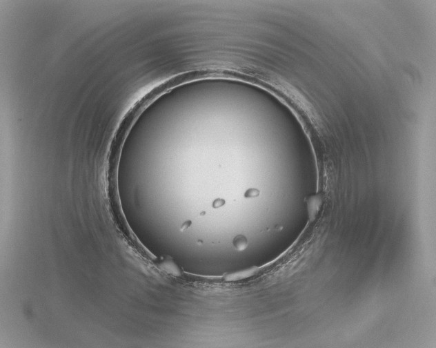 X0000116571020200912101506