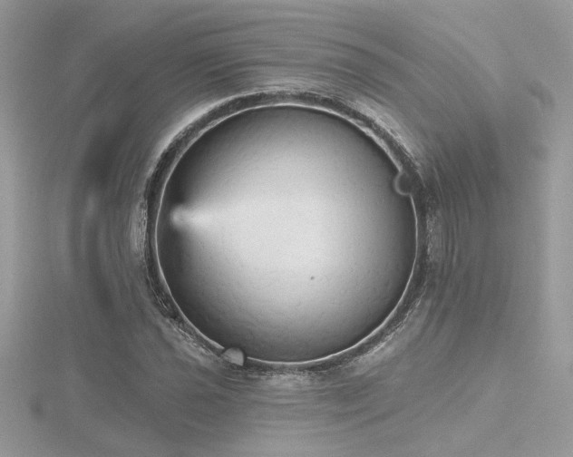 X0000116571021200912101506