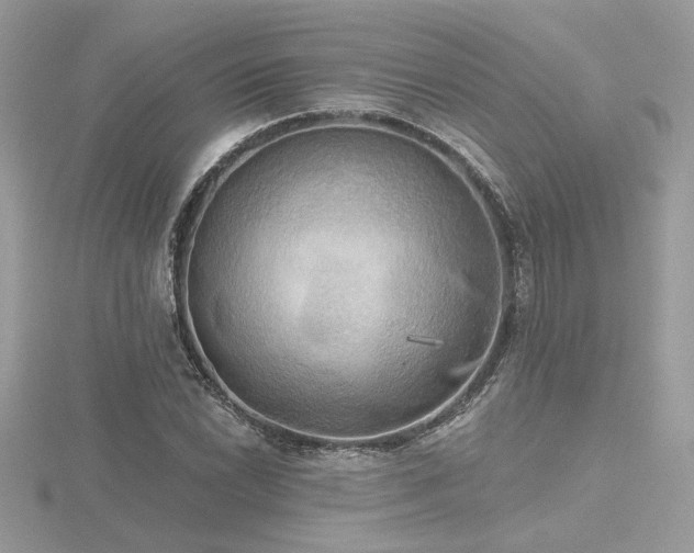 X0000116571022200912101506