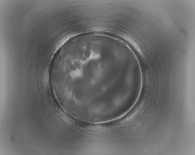 X0000116571023200912101506