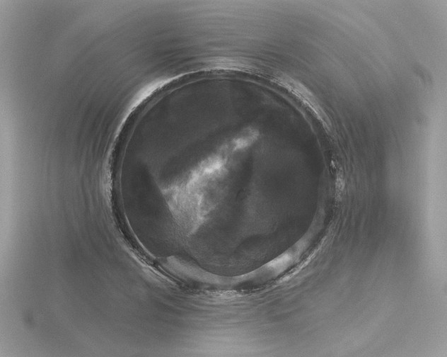 X0000116571024200912101506