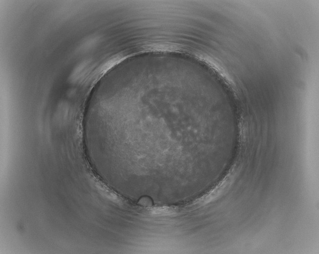 X0000116571025200912101506