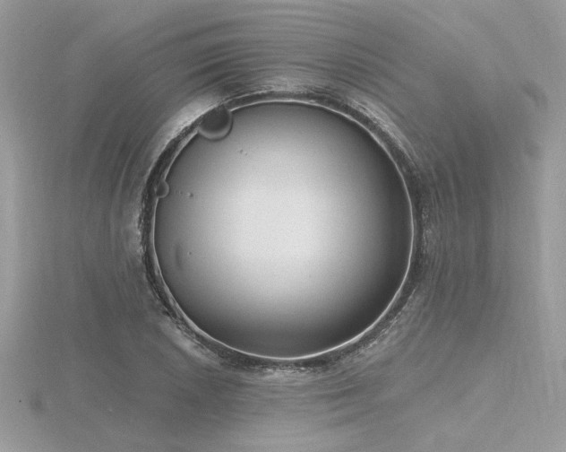 X0000116571026200912101506