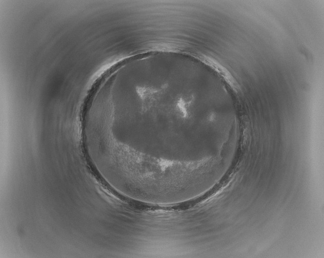 X0000116571027200912101506