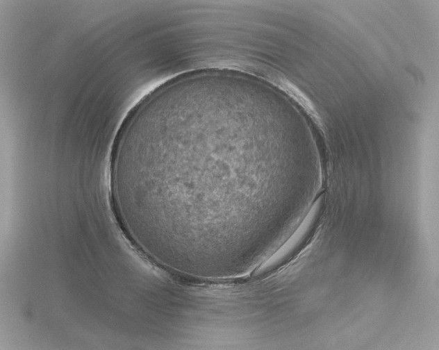 X0000116571028200912101506