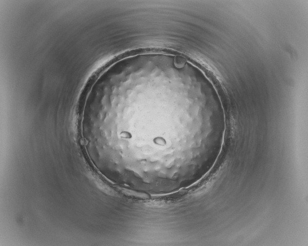 X0000116571029200912101506