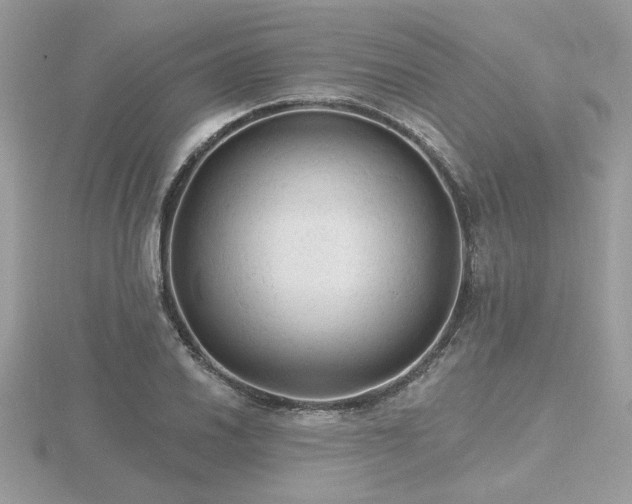 X0000116571030200912101506