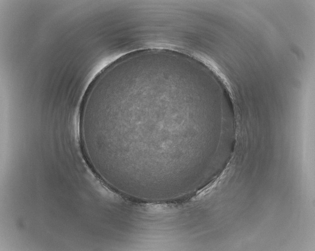 X0000116571032200912101506